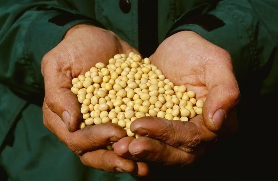 大豆全程施肥方案